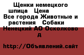 Щенки немецкого шпица › Цена ­ 20 000 - Все города Животные и растения » Собаки   . Ненецкий АО,Осколково д.